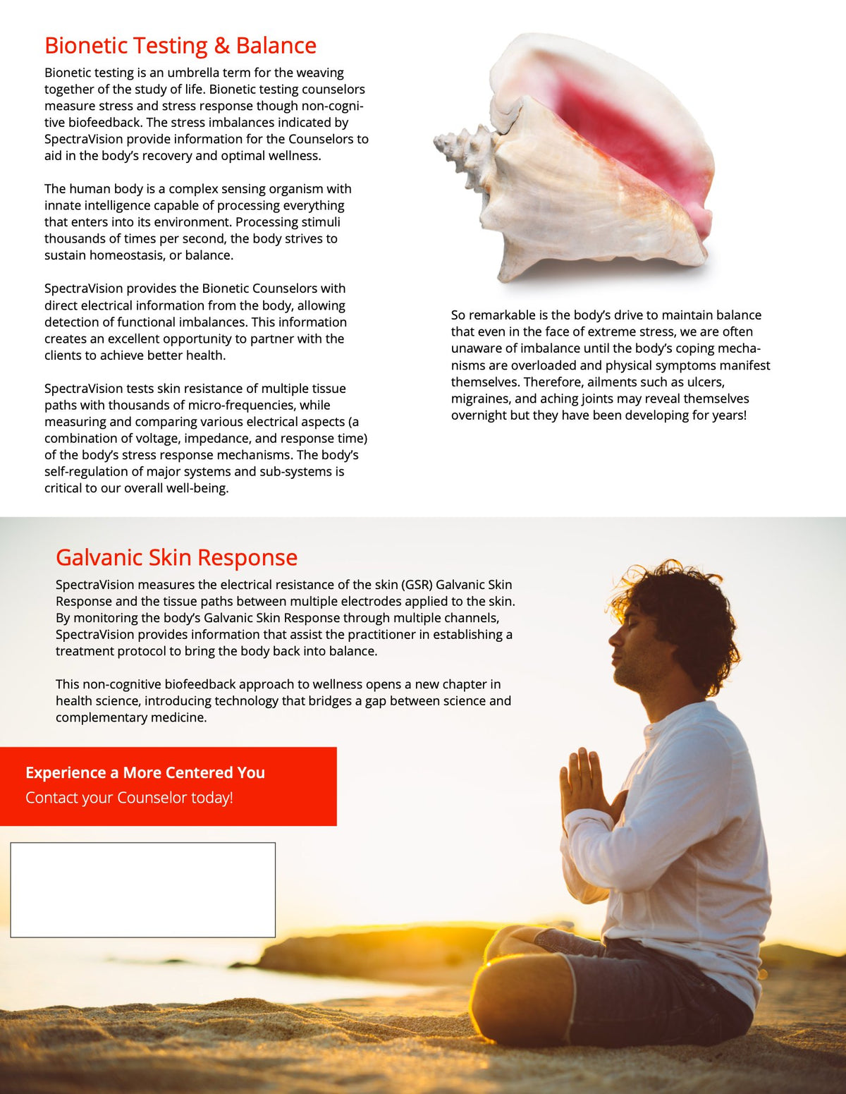 Flyer 1: back