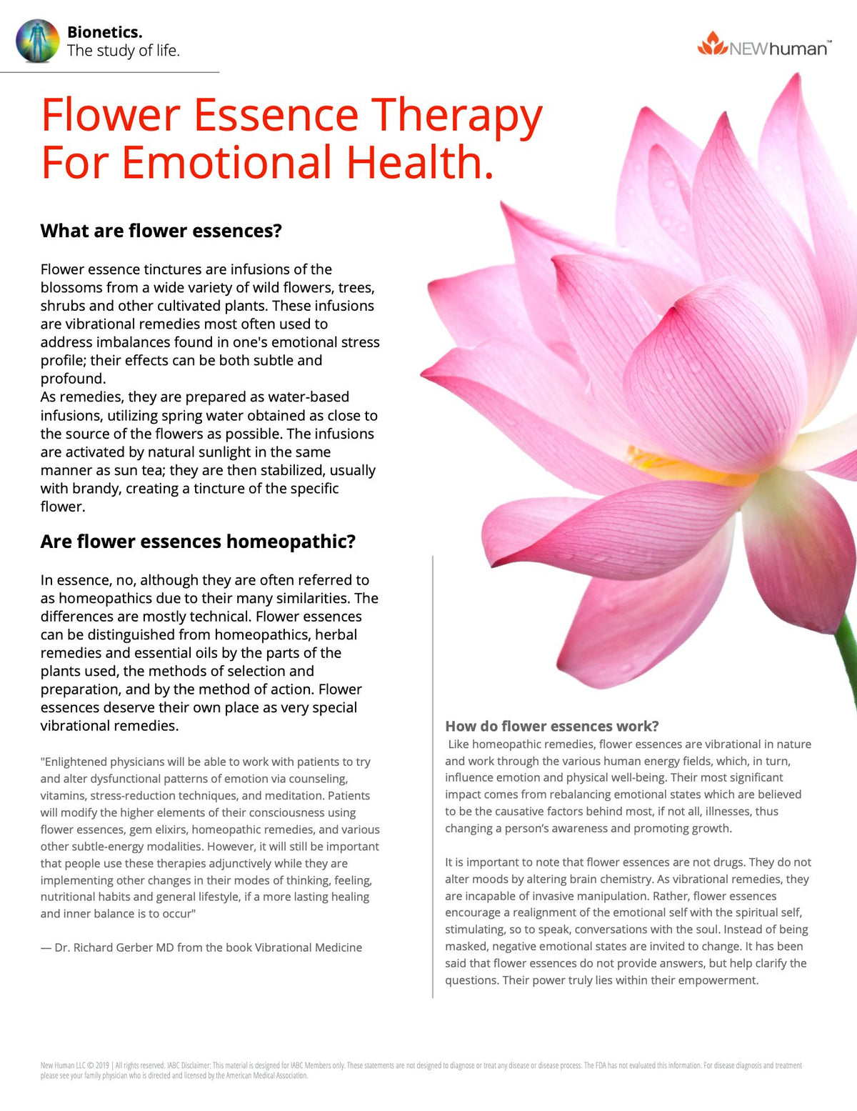 Flyer 3: front