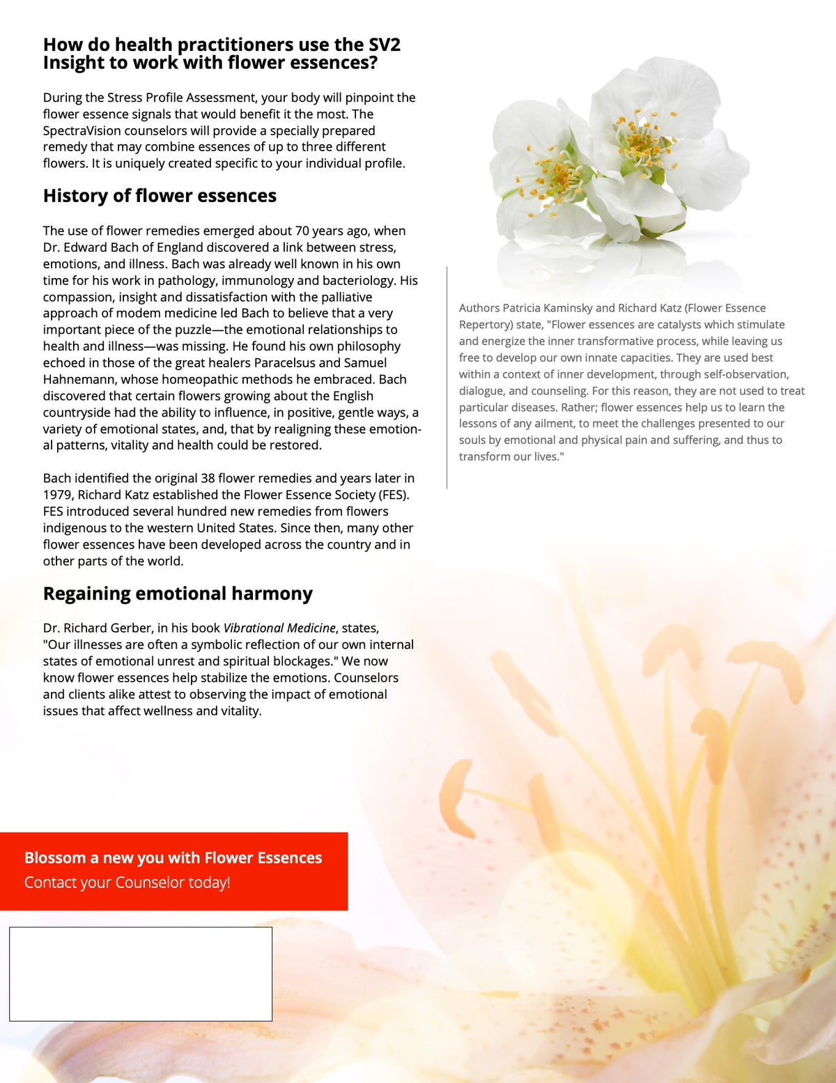 Flyer 3: back