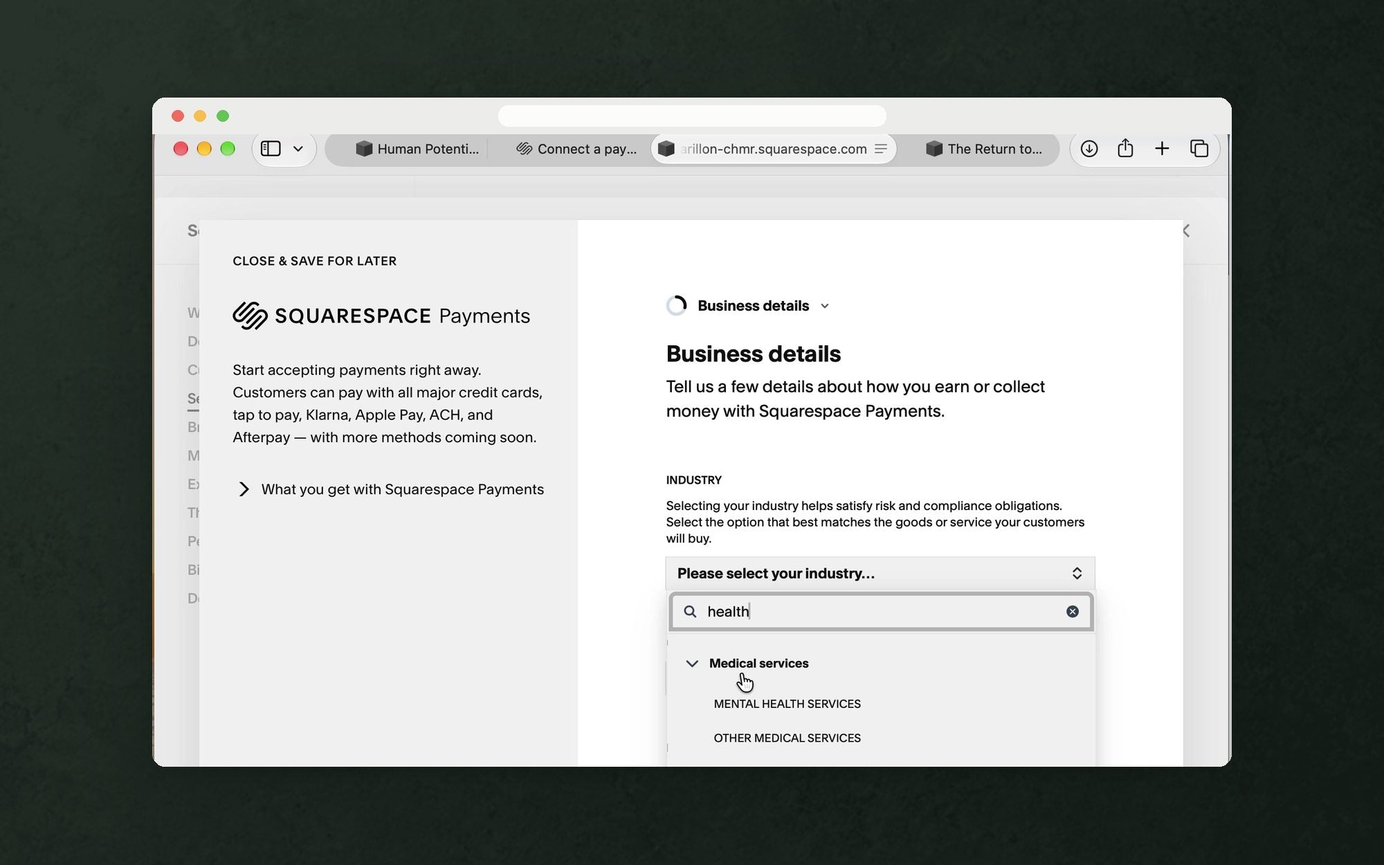The Squarespace Payments business application, industry selection open