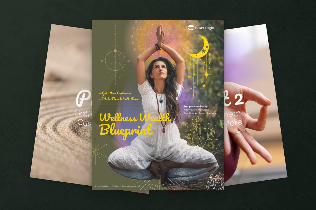 Wellness Wealth Blueprint: Wellness Wealth Blueprint cover with its two part dividers