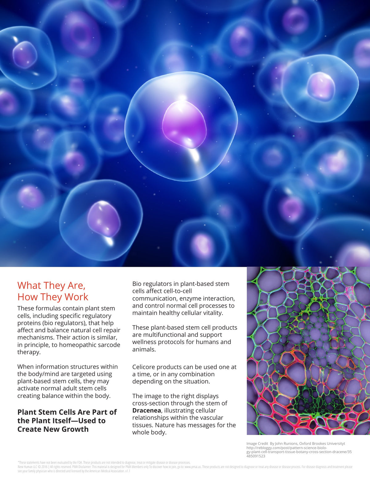 Original publication: PDF page 2