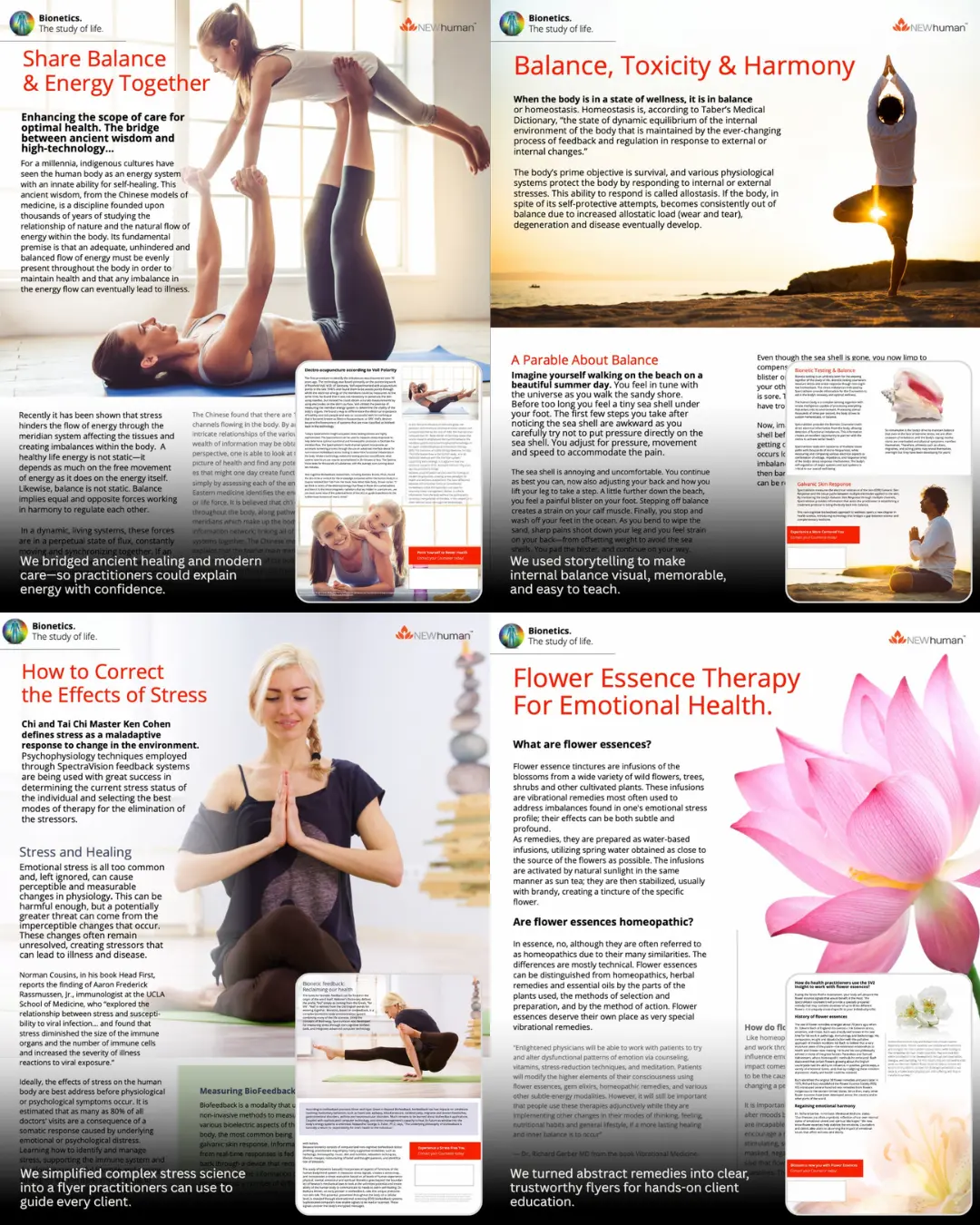 Bionetic Education Series Hero